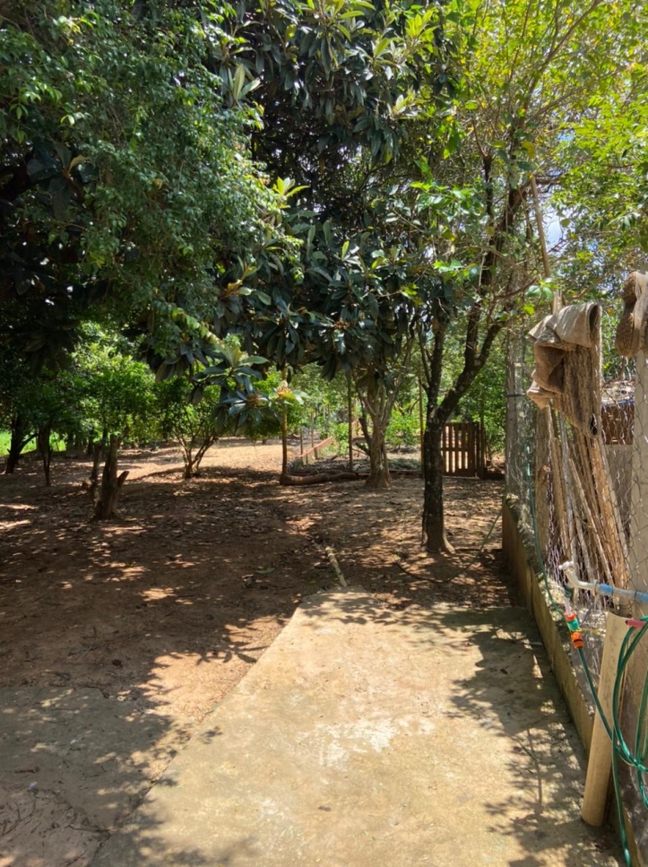 Fazenda à venda com 3 quartos, 2000m² - Foto 19