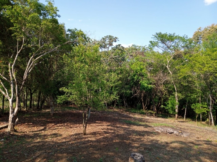 Fazenda à venda com 3 quartos, 150m² - Foto 2