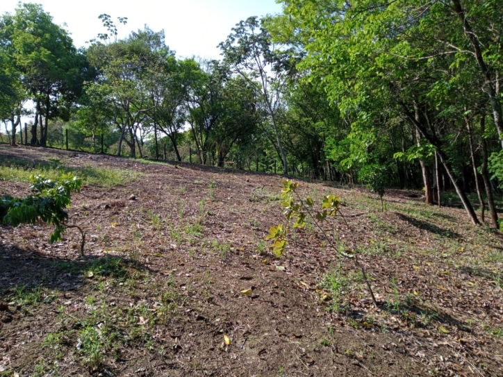 Fazenda à venda com 3 quartos, 150m² - Foto 14