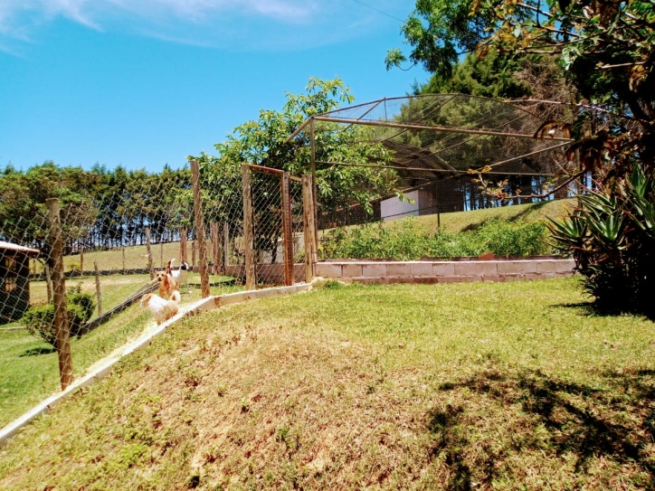 Fazenda à venda com 4 quartos, 900m² - Foto 7