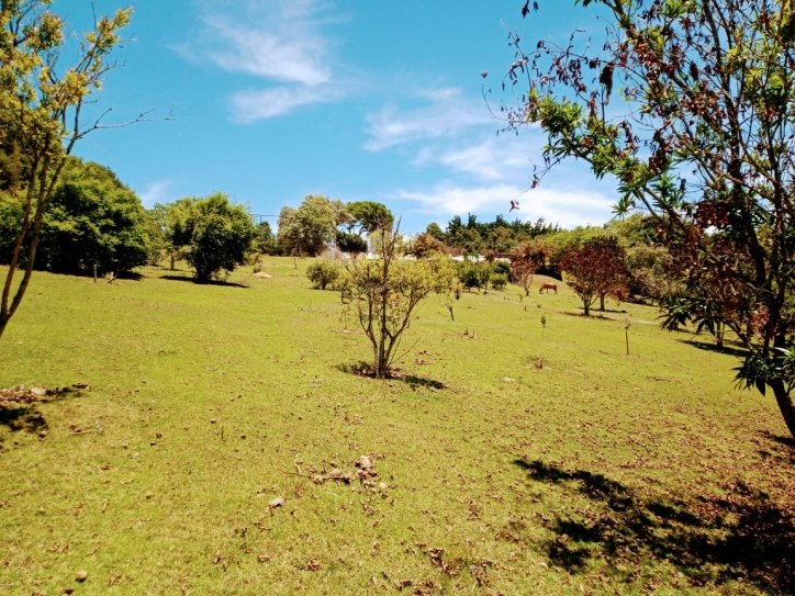 Fazenda à venda com 4 quartos, 900m² - Foto 11