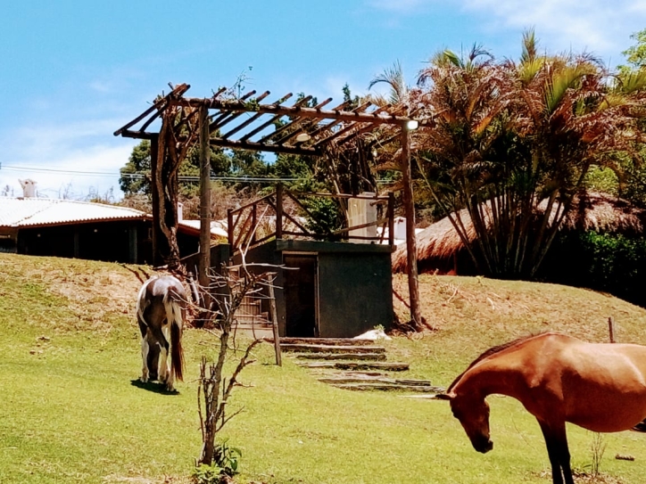 Fazenda à venda com 4 quartos, 900m² - Foto 13