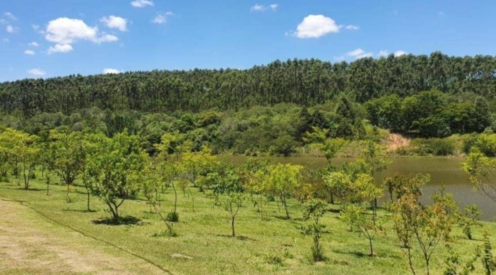 Terreno à venda, 1000m² - Foto 6