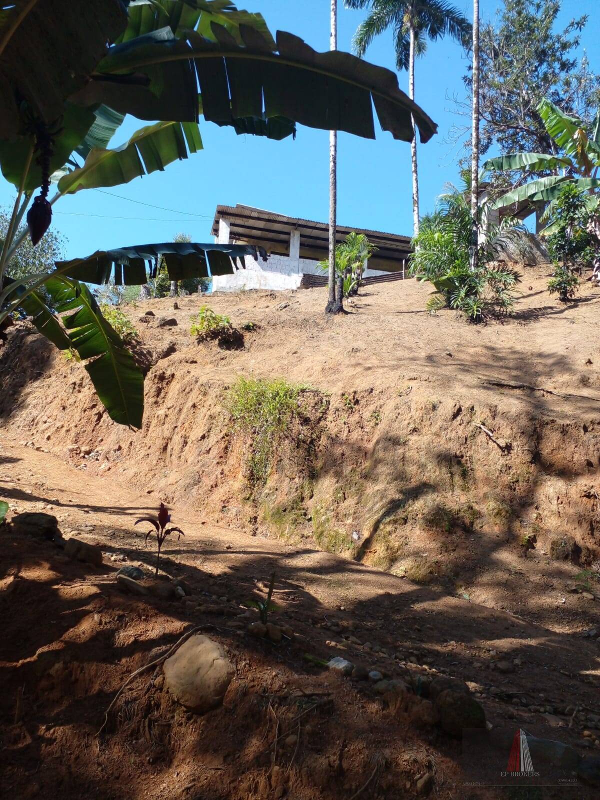 Fazenda à venda com 3 quartos, 1200m² - Foto 28