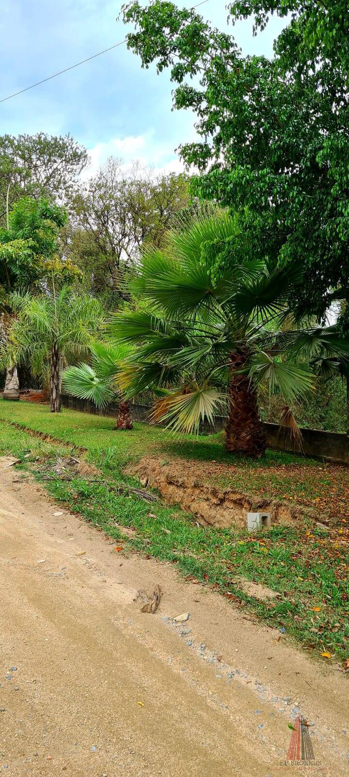 Fazenda à venda com 4 quartos, 230m² - Foto 14