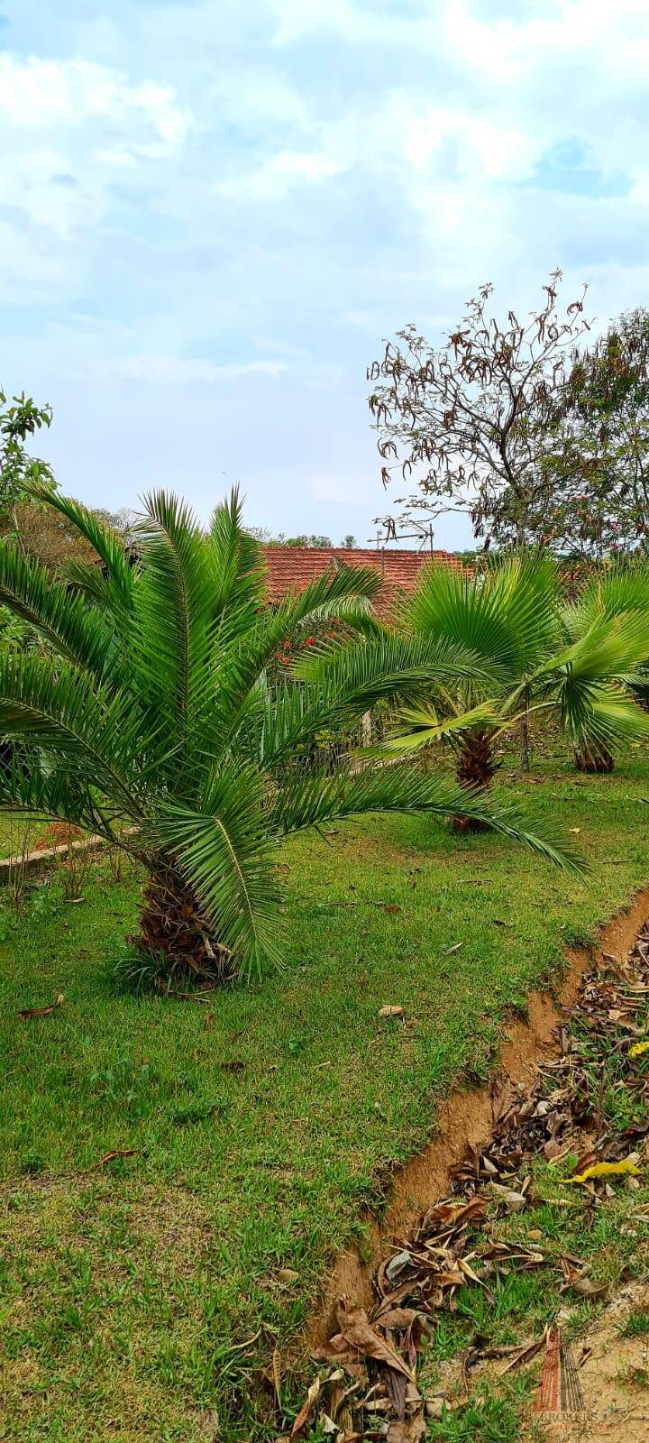 Fazenda à venda com 4 quartos, 230m² - Foto 15