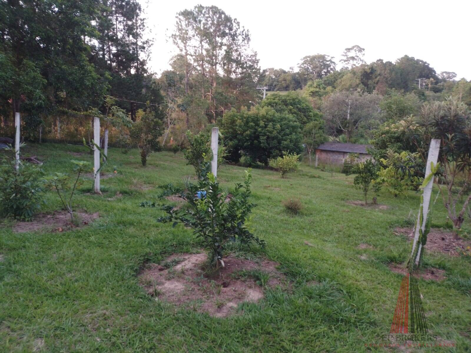 Fazenda à venda com 3 quartos, 24000m² - Foto 19