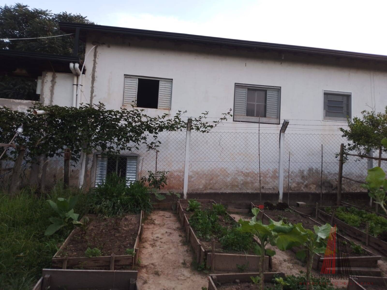 Fazenda à venda com 3 quartos, 24000m² - Foto 12