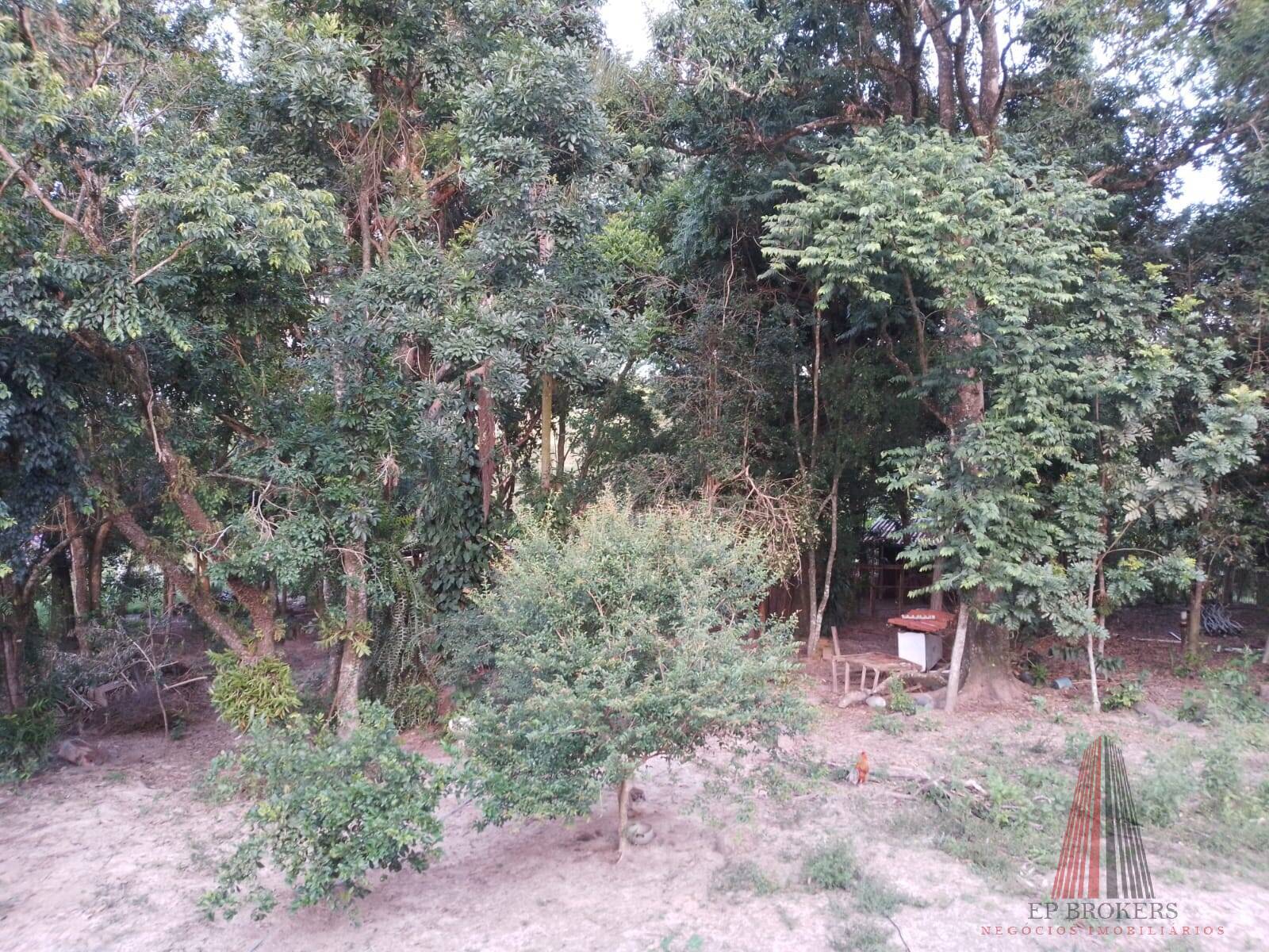 Fazenda à venda com 3 quartos, 24000m² - Foto 15