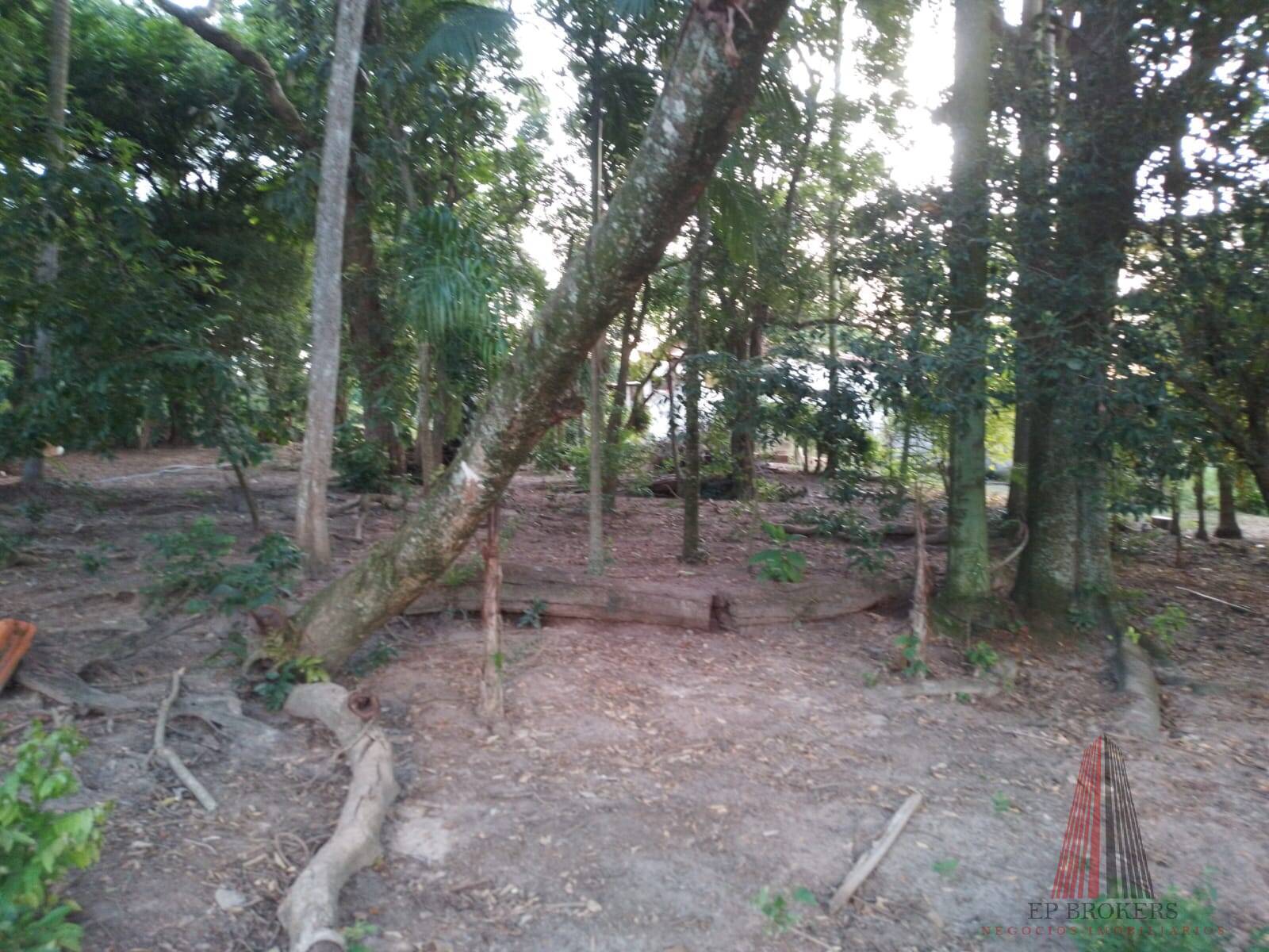 Fazenda à venda com 3 quartos, 24000m² - Foto 17