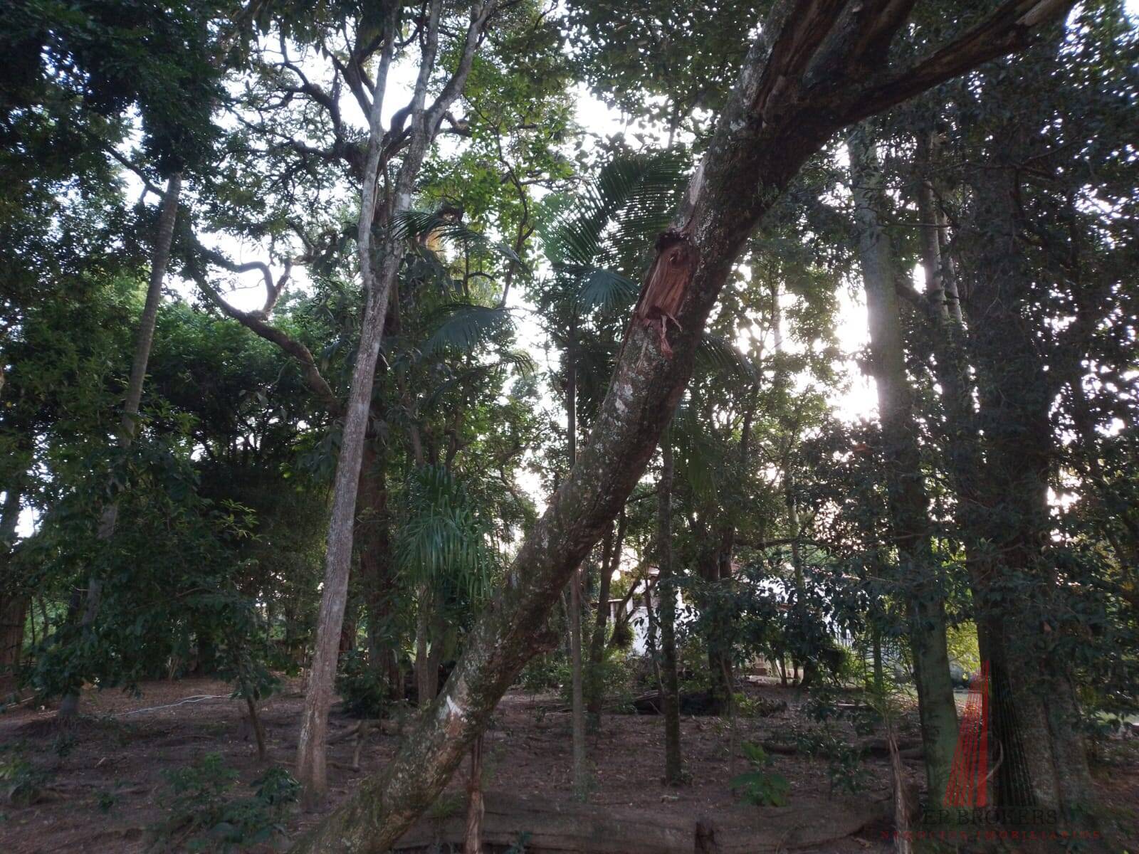 Fazenda à venda com 3 quartos, 24000m² - Foto 21