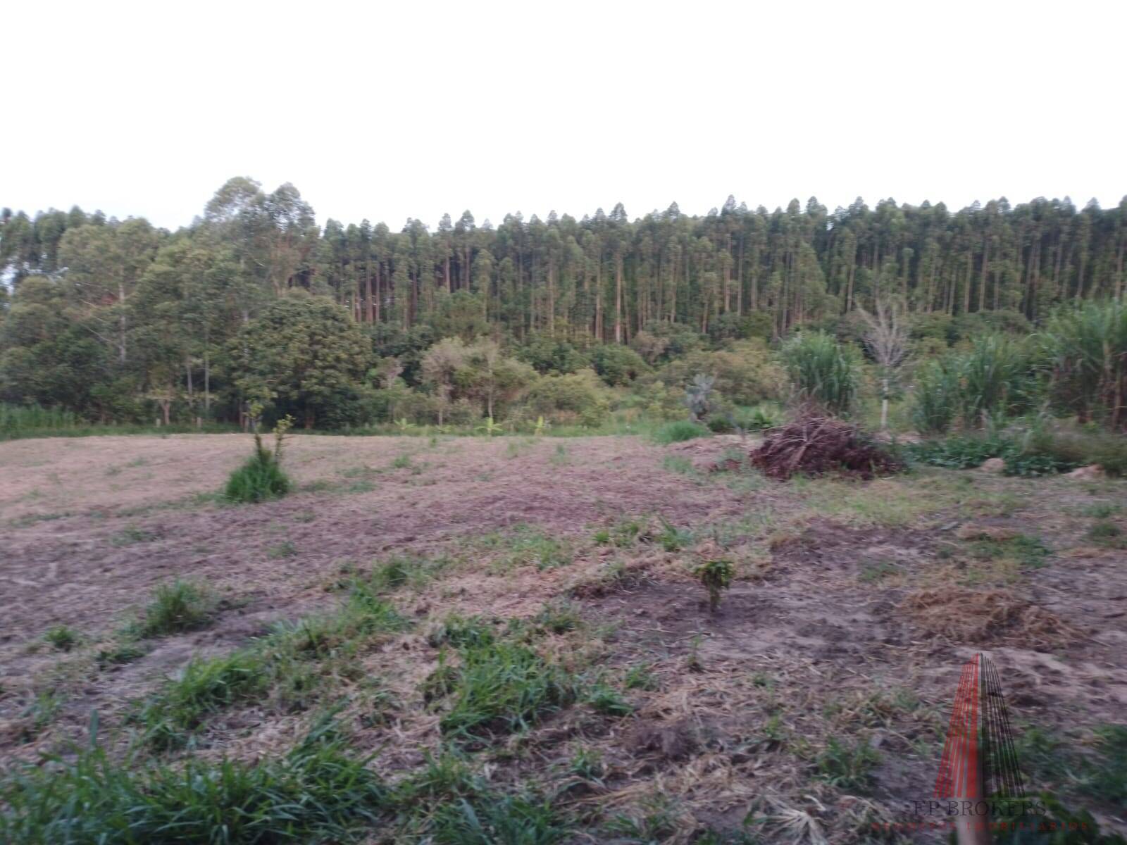 Fazenda à venda com 3 quartos, 24000m² - Foto 13