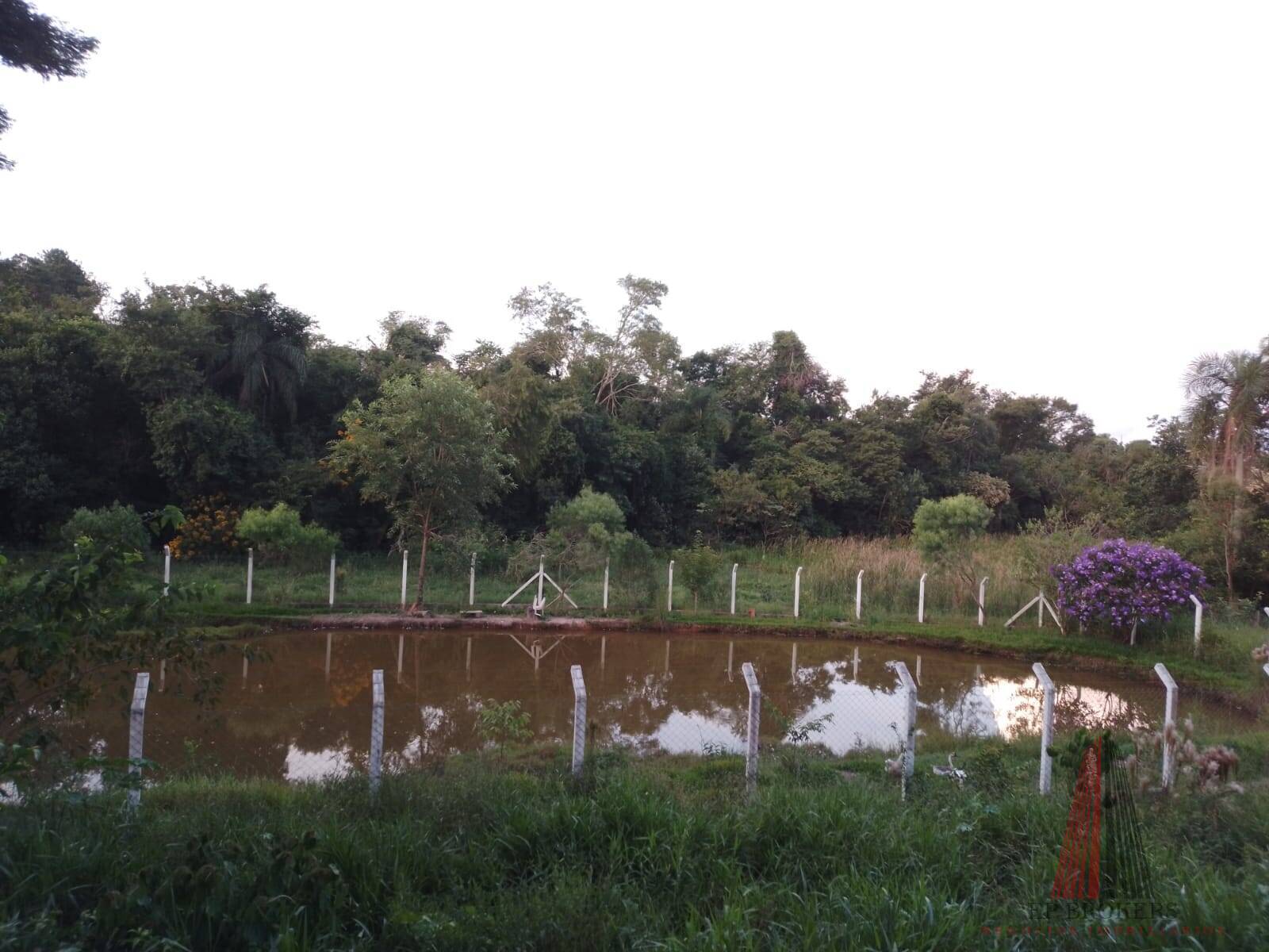 Fazenda à venda com 3 quartos, 24000m² - Foto 22