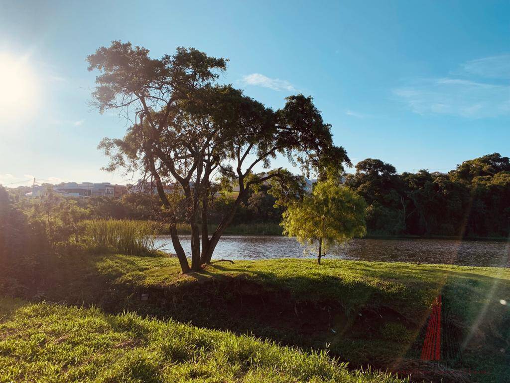 Terreno à venda, 318m² - Foto 4