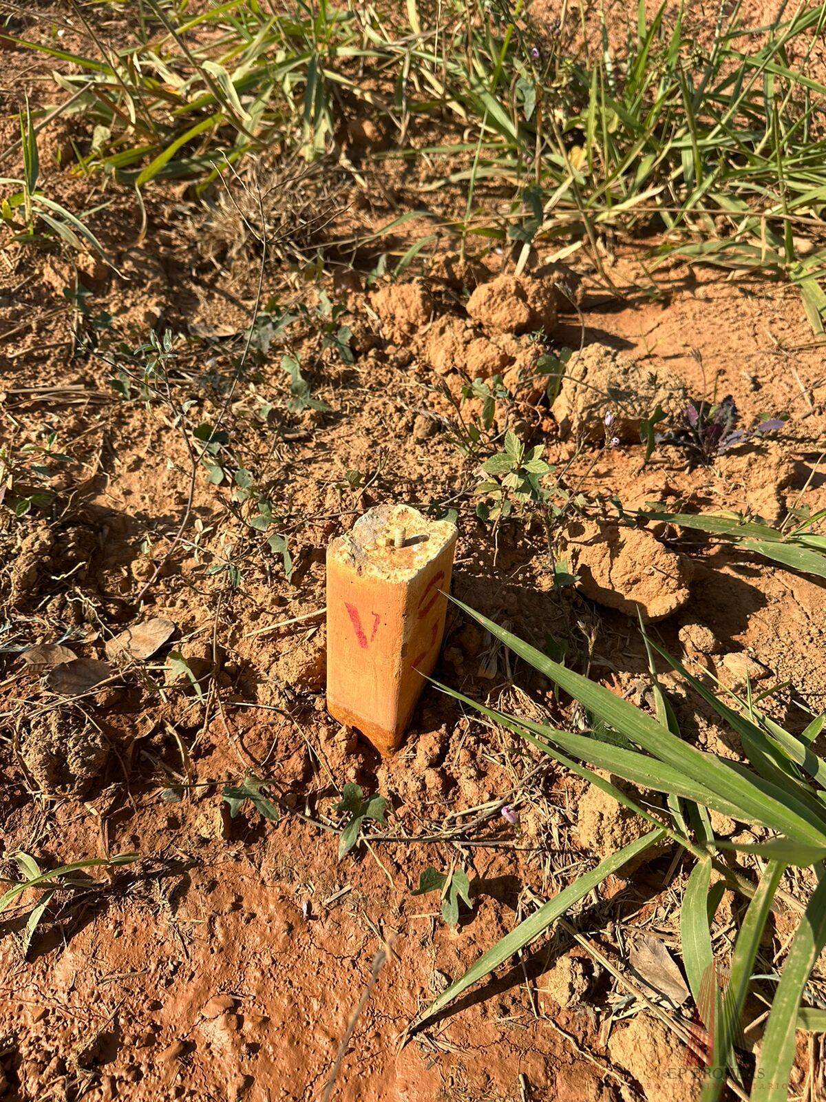 Terreno à venda - Foto 4