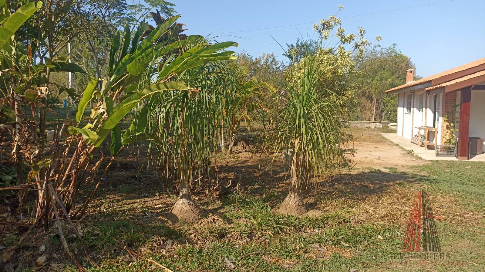 Fazenda à venda com 3 quartos, 215m² - Foto 7